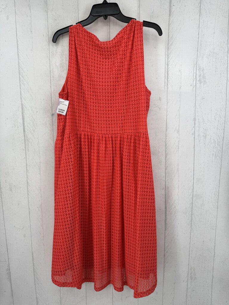 2X lace slvls dress