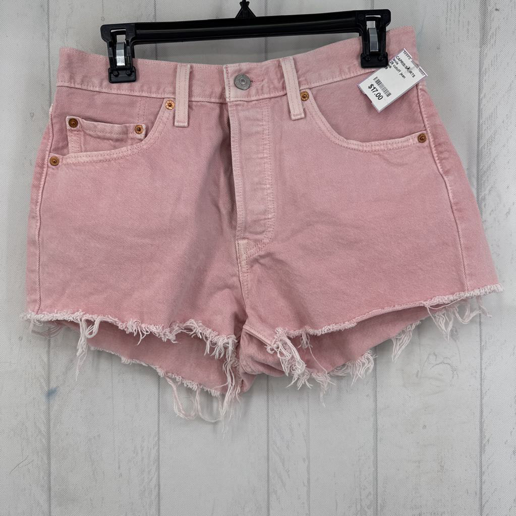 29 cutoff jean shorts