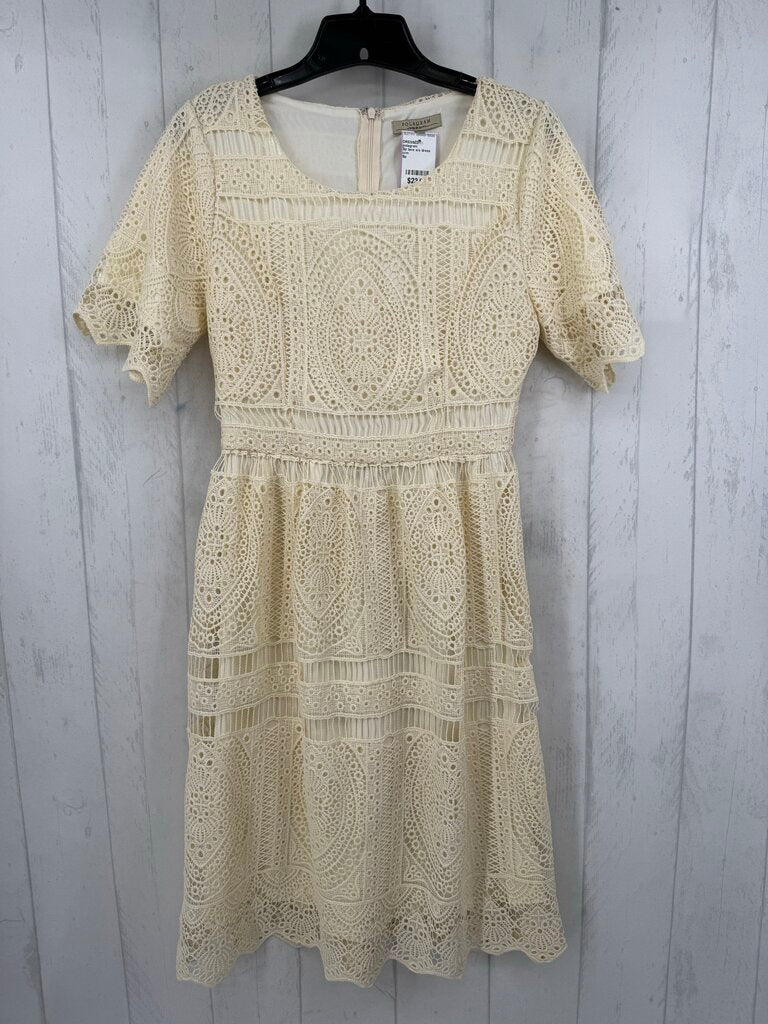 Sp lace s/s dress