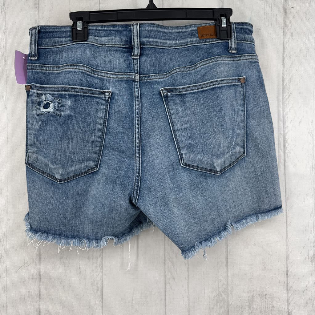 XL cutoff jean shorts