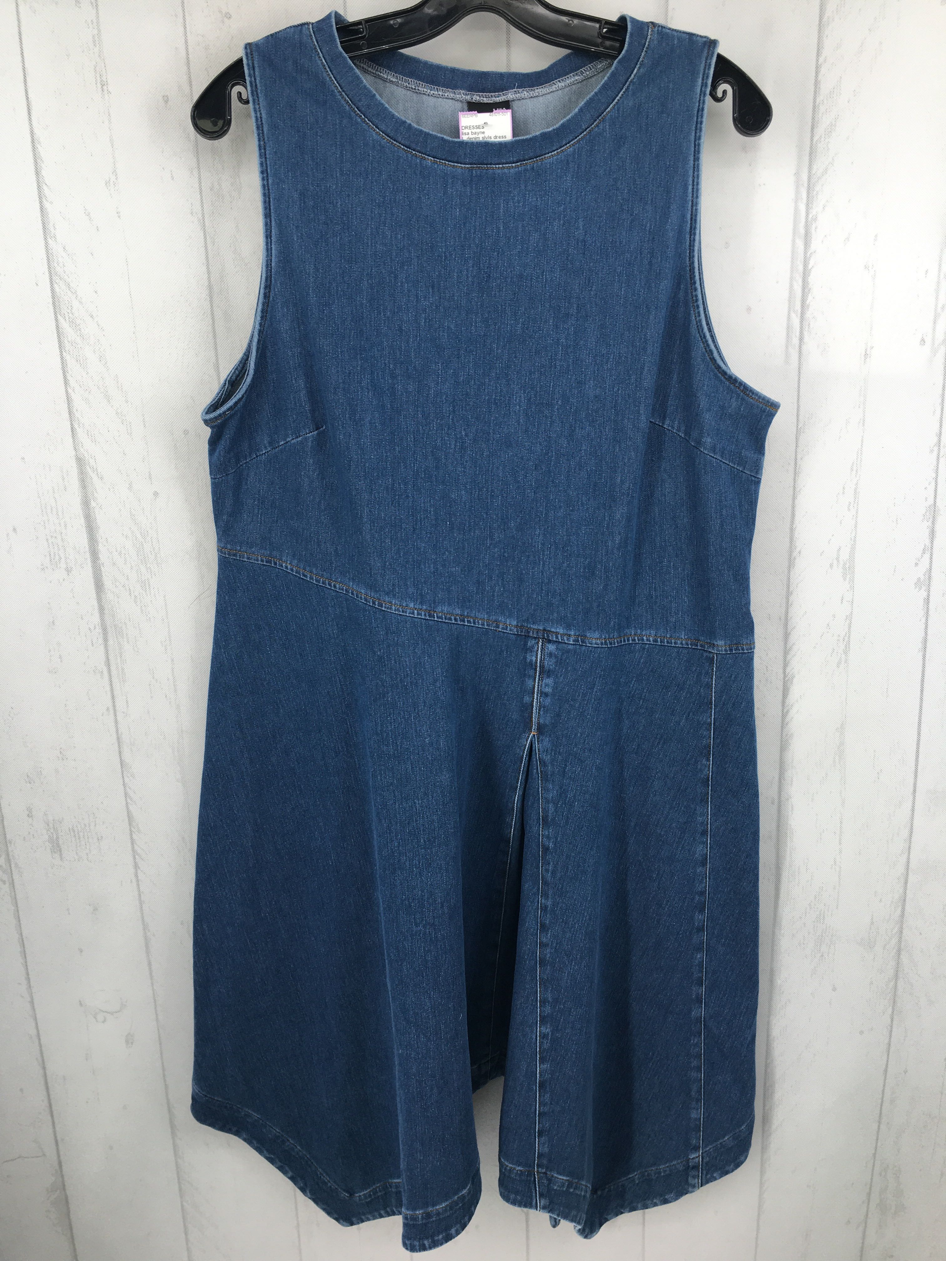 L denim slvls dress