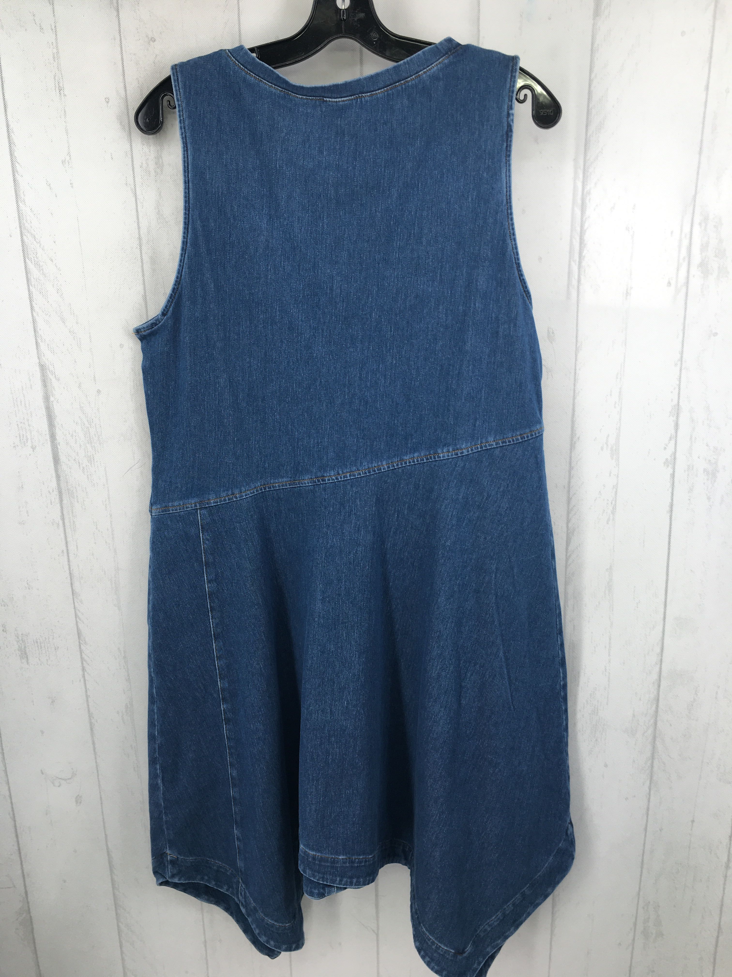 L denim slvls dress