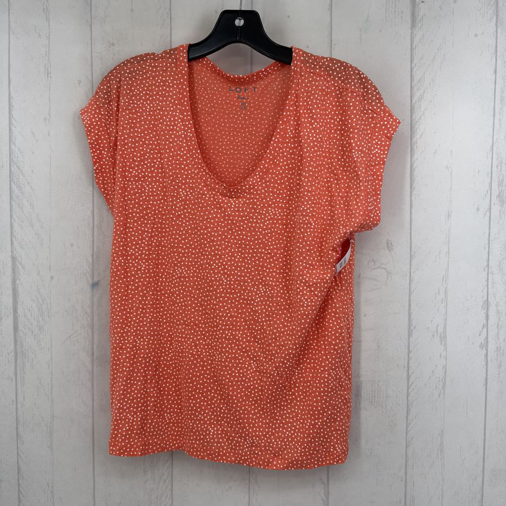 XS polka dot scoop neck s/s tee