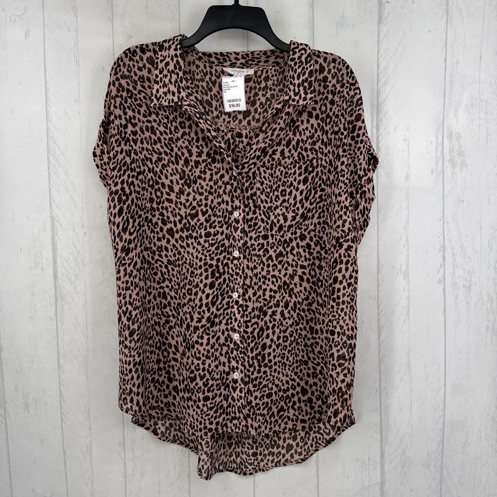 1XLanimal print button down s/s top