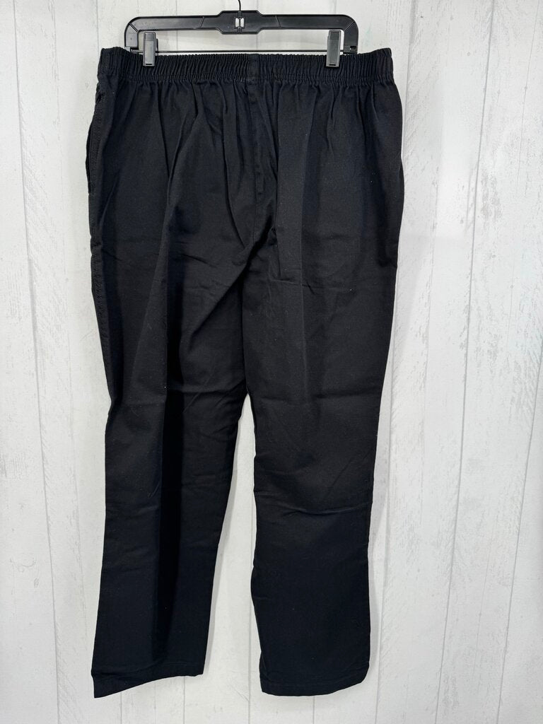20w pull-on wide leg pant