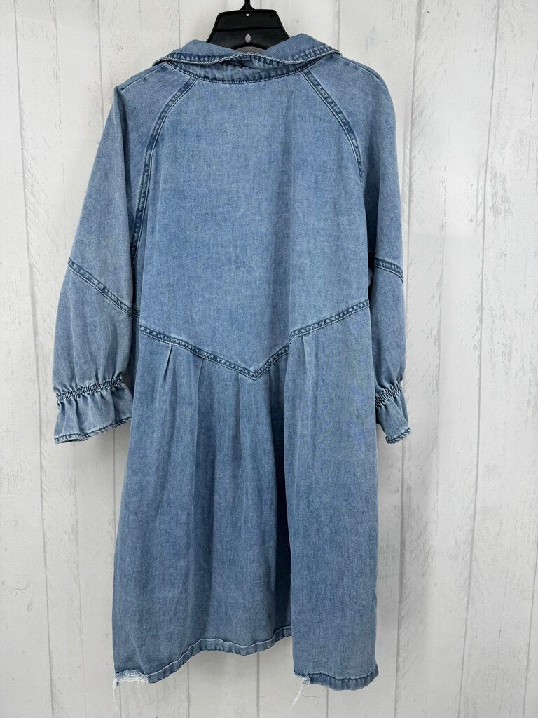 L denim button down l/s dress