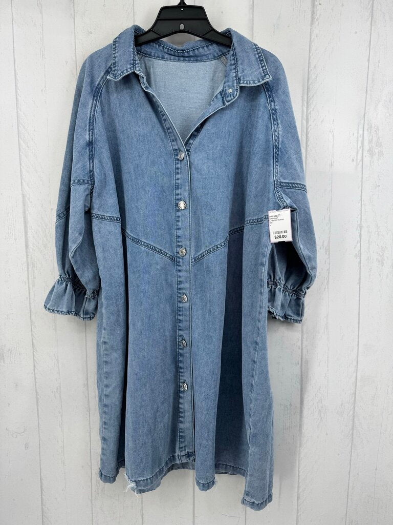 L denim button down l/s dress