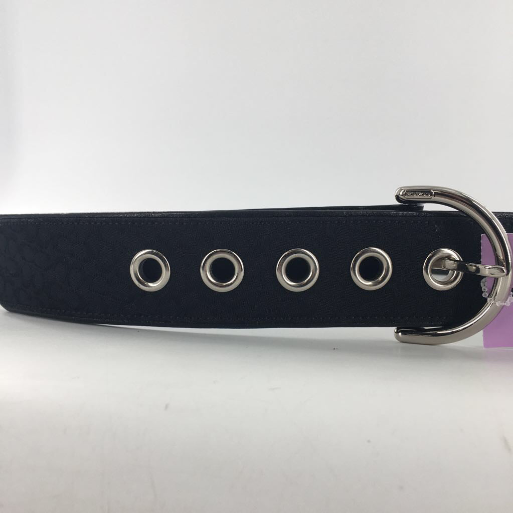 signature logo belt