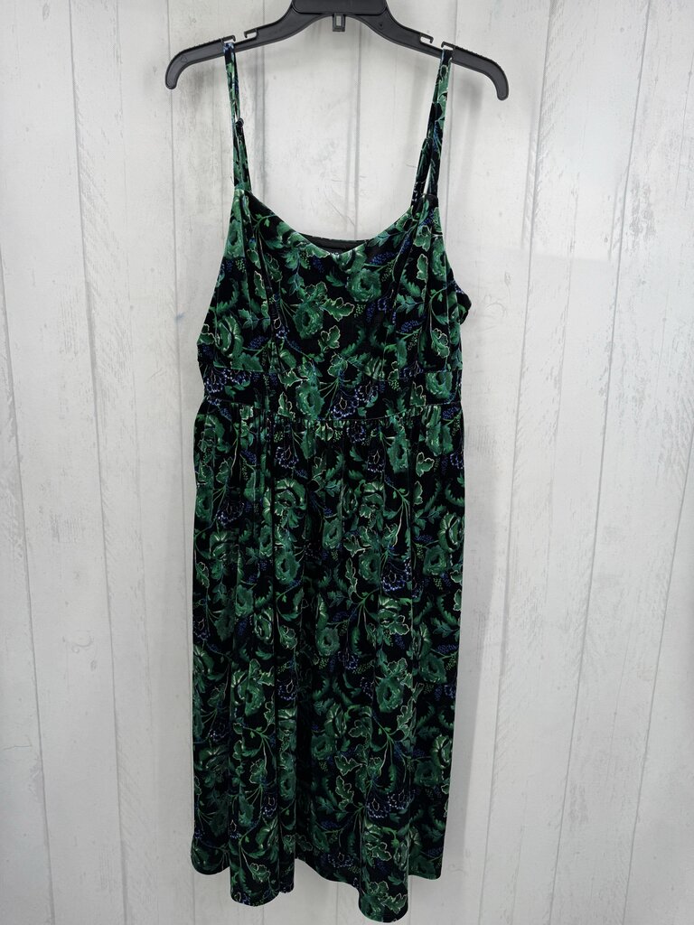 1X velour flo velvet slvls dress
