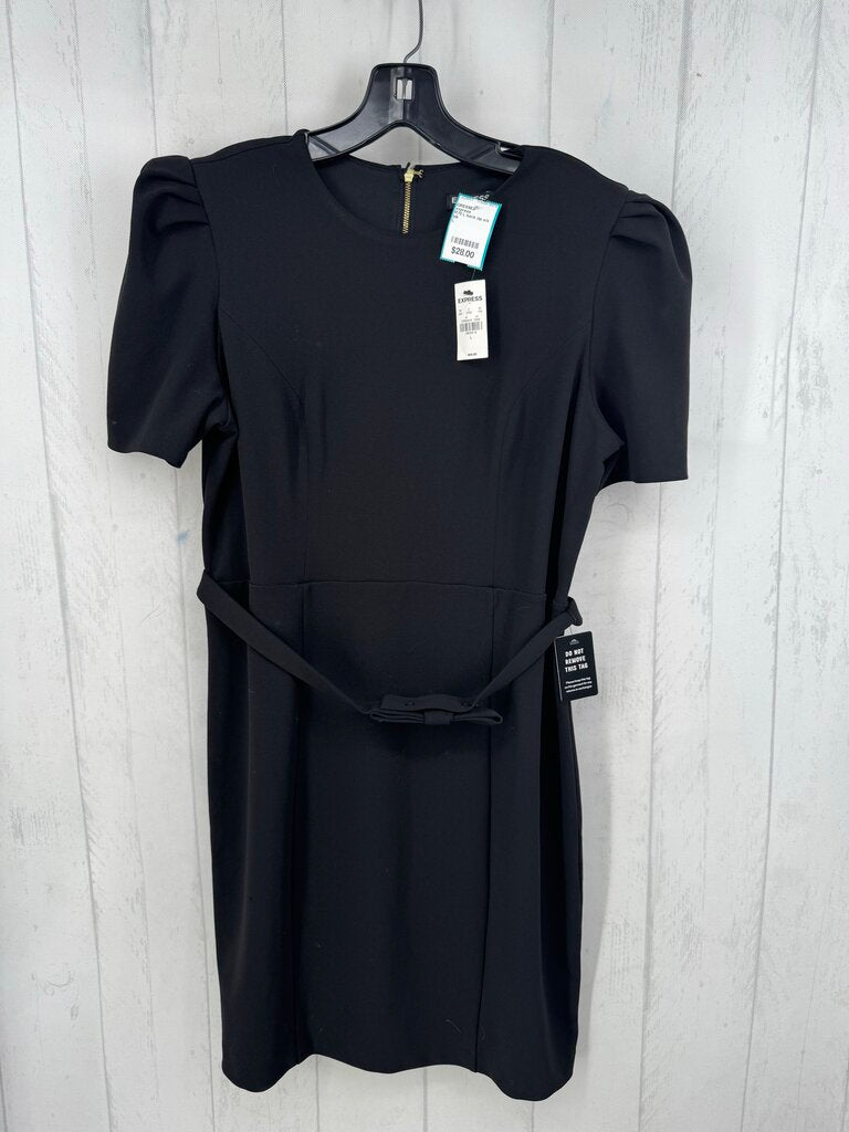 R70 L back zip s/s belted dress