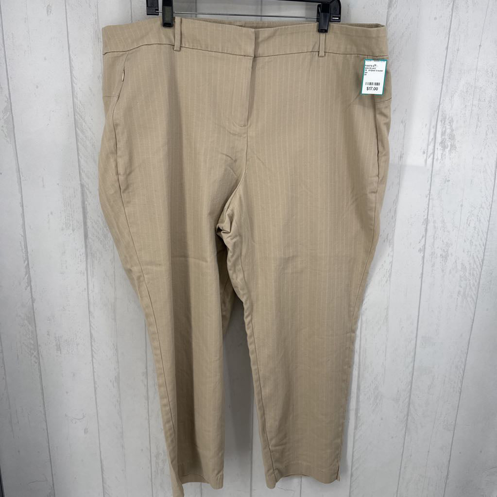 24 striped trouser