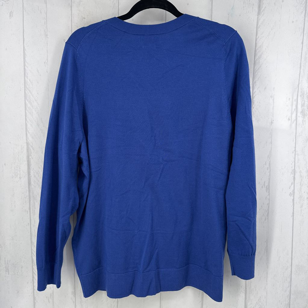 1X v-neck sweater