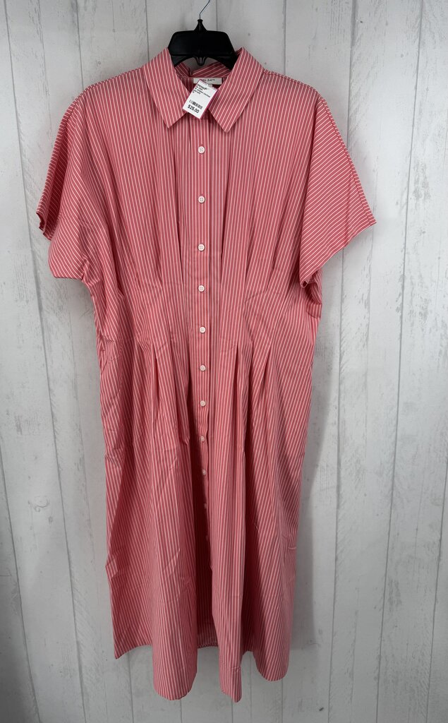 1X striped cinched waist s/s dress