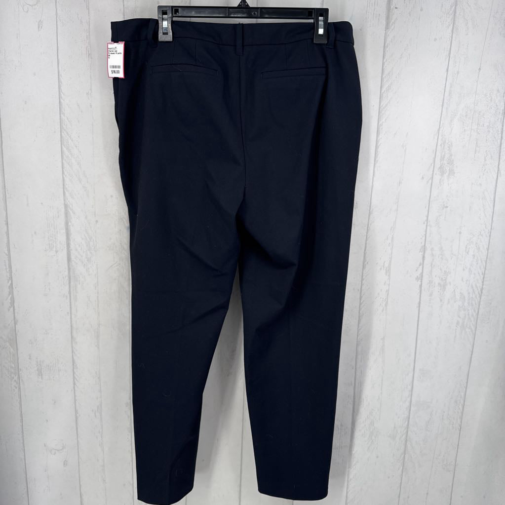 12 classic fit pants