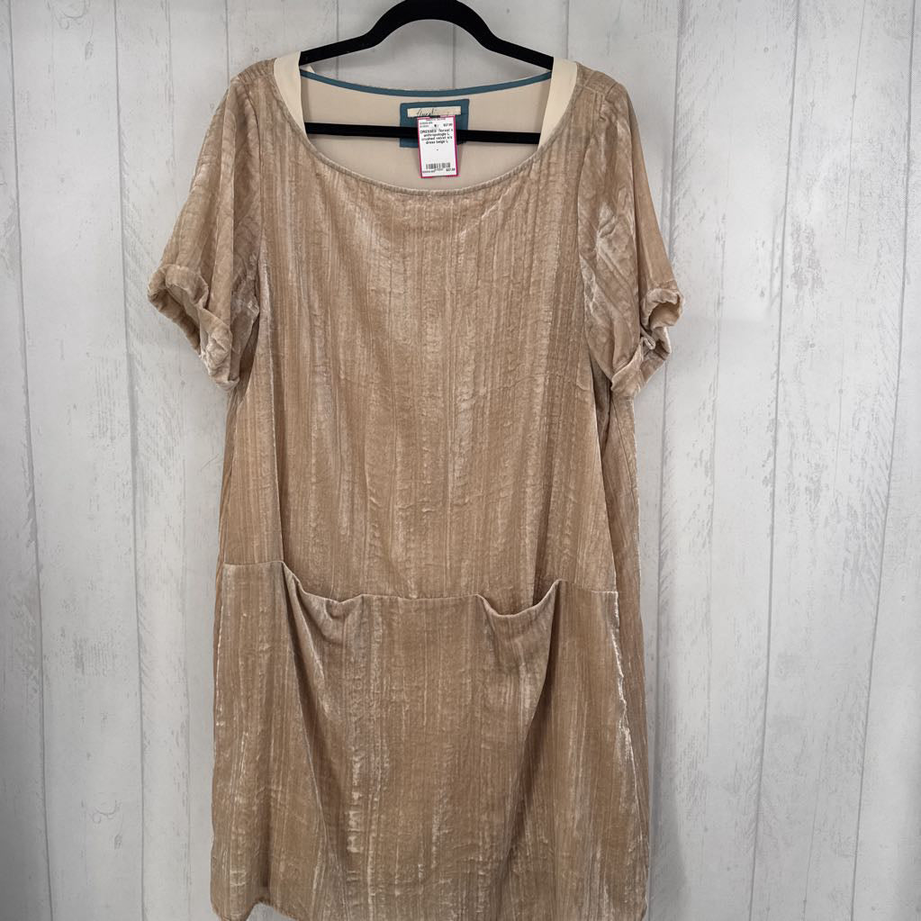 L crushed velvet s/s dress