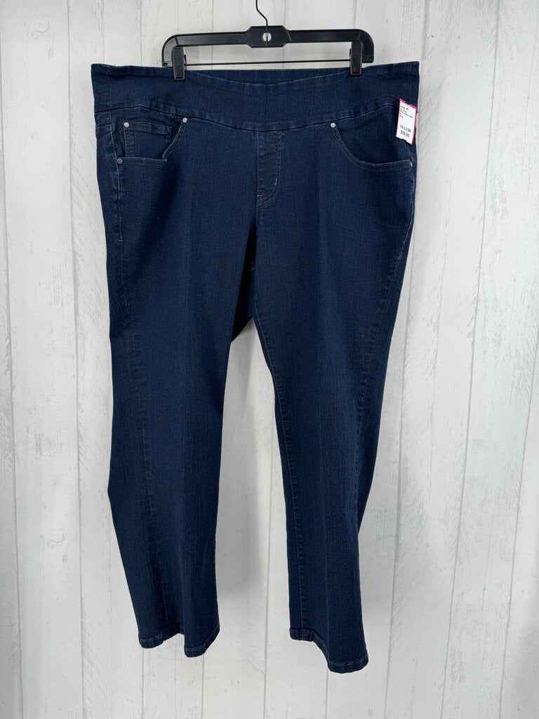 20wp pull-on jean