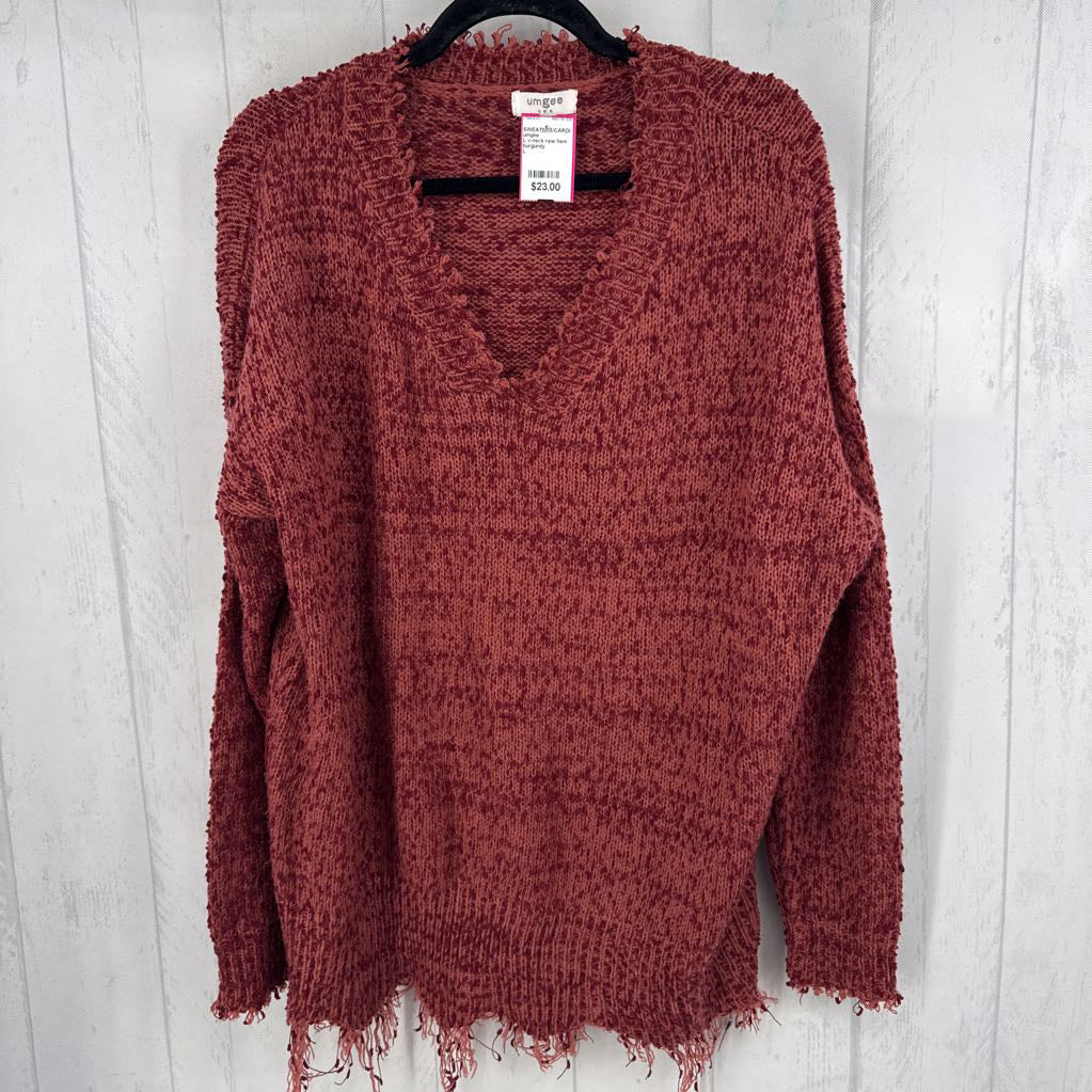 L v-neck raw hem sweater