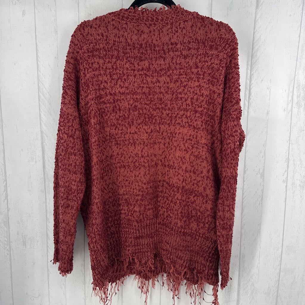 L v-neck raw hem sweater