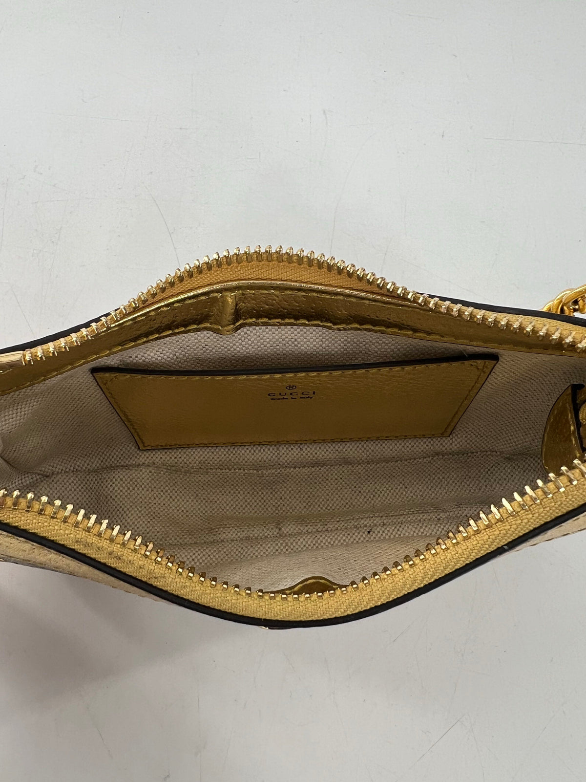 GG Supreme Ophidia chain mini bag