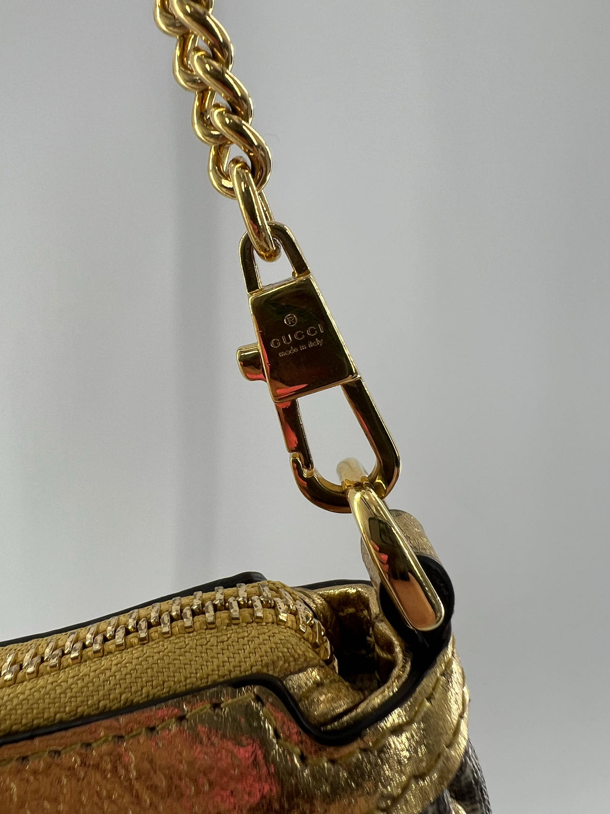 GG Supreme Ophidia chain mini bag