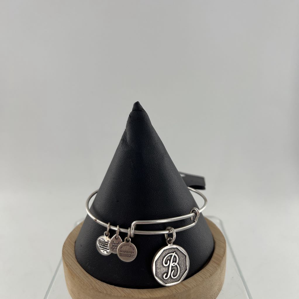 silver tone slider charm bracelet-B