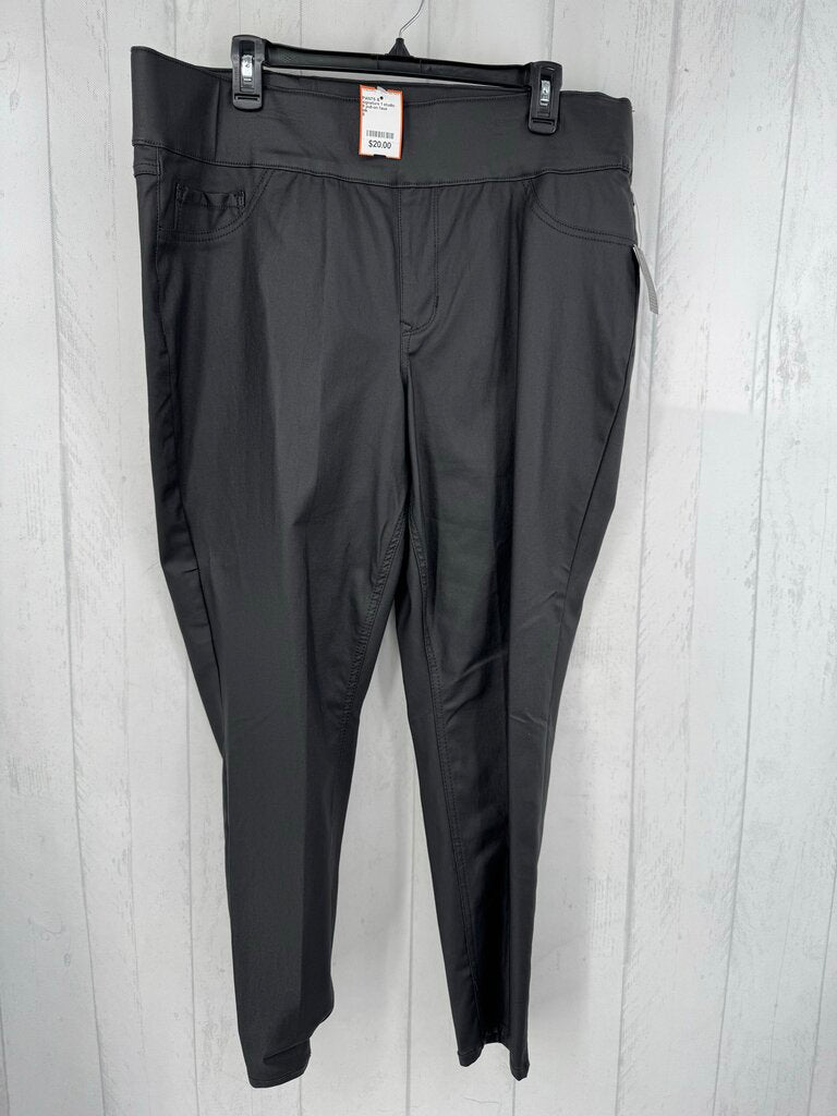 8 pull-on faux leather pant
