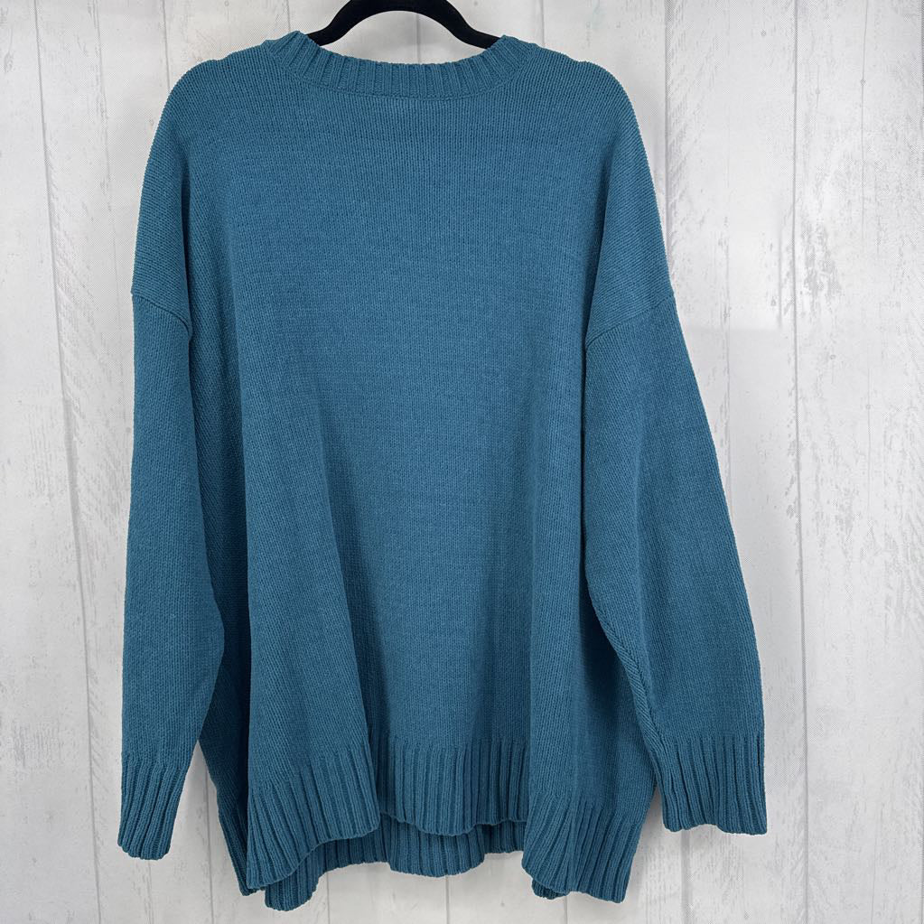 3X v-neck sweater