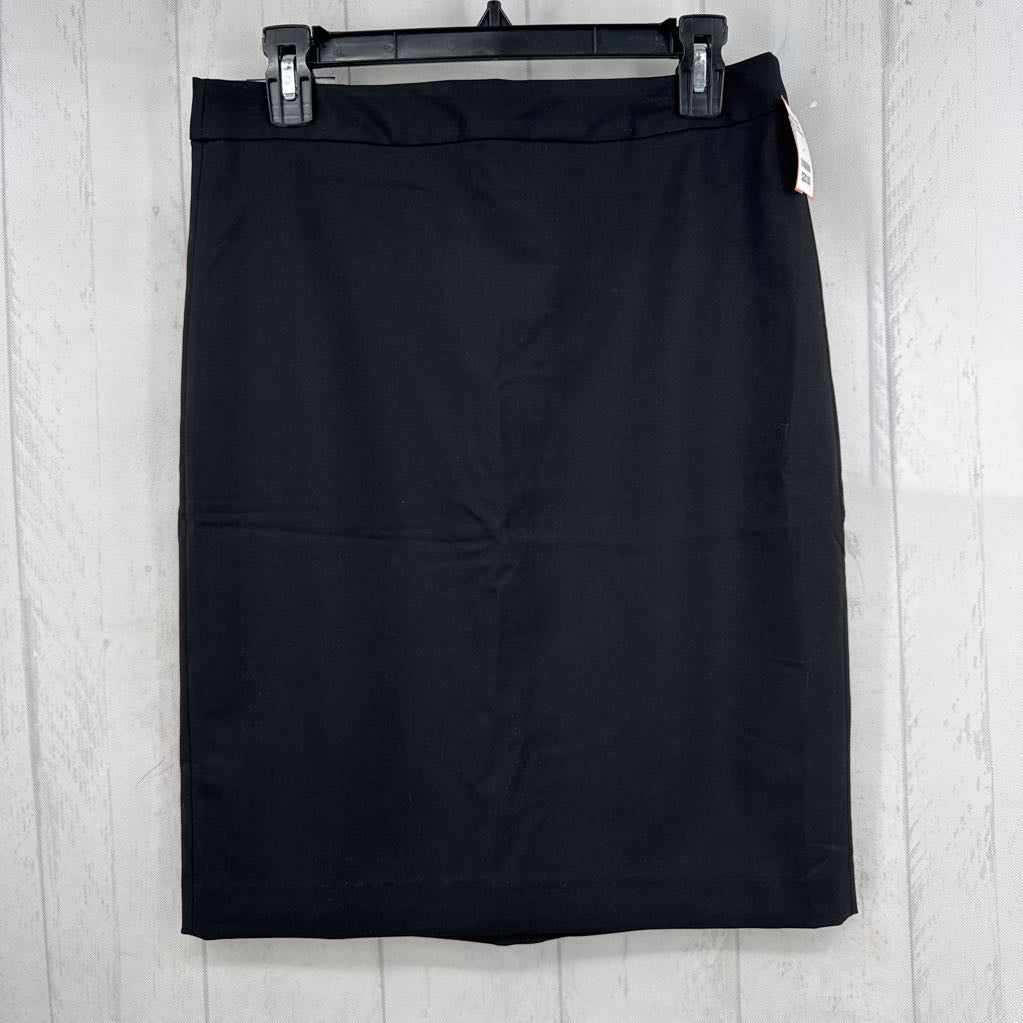 R60 6 knee length skirt