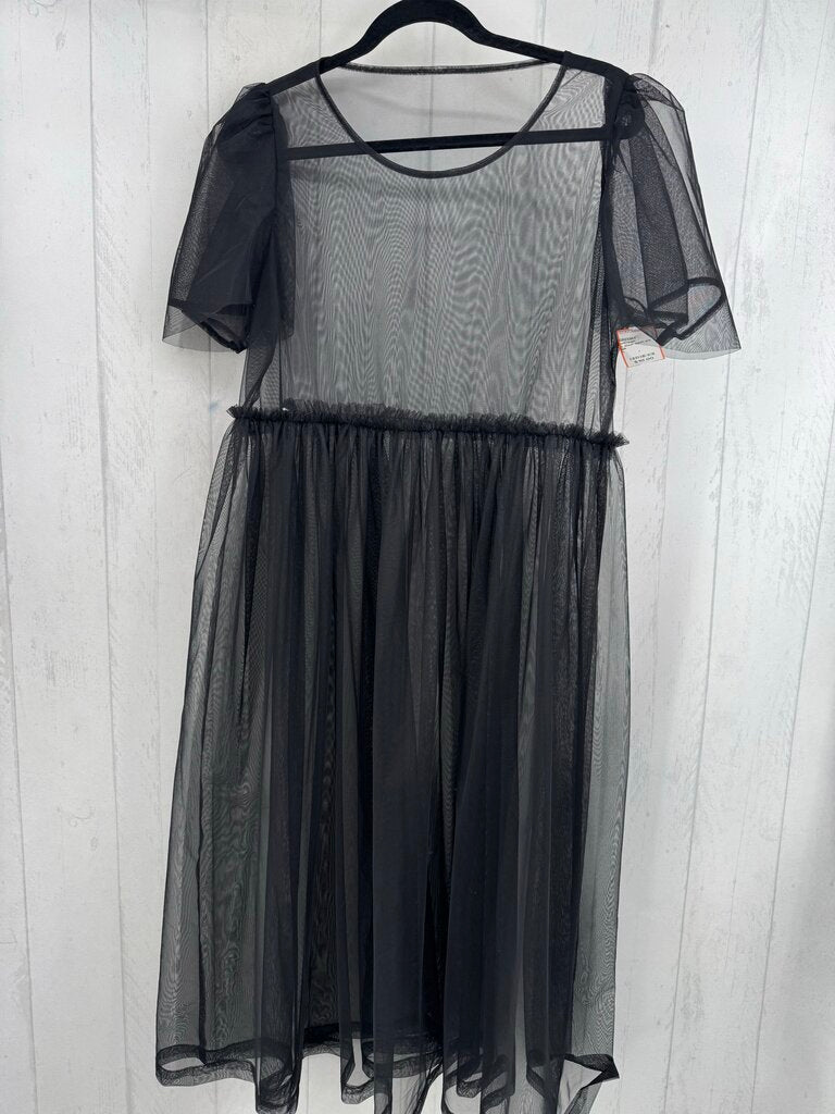 L sheer mesh s/s dress