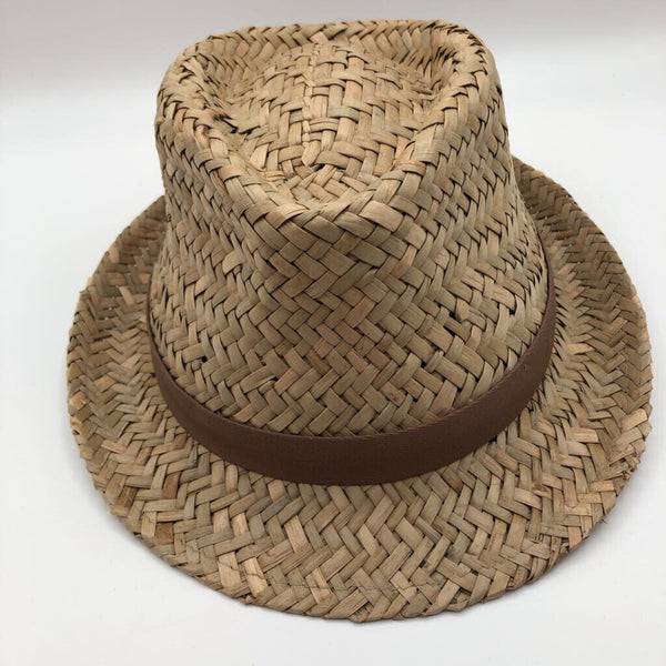 NWT straw fedora hat