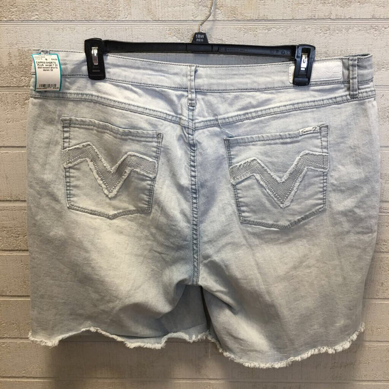 22 distressed shorts