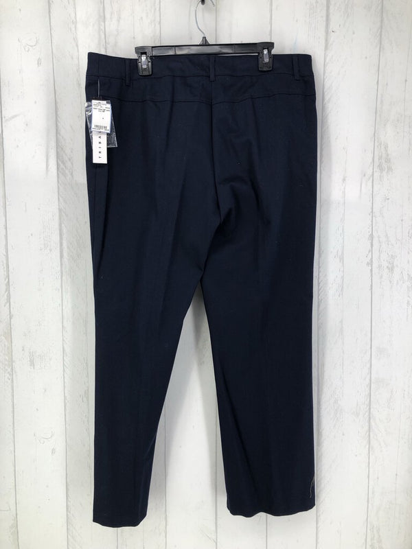 16P pant