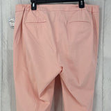 16w ankle pants