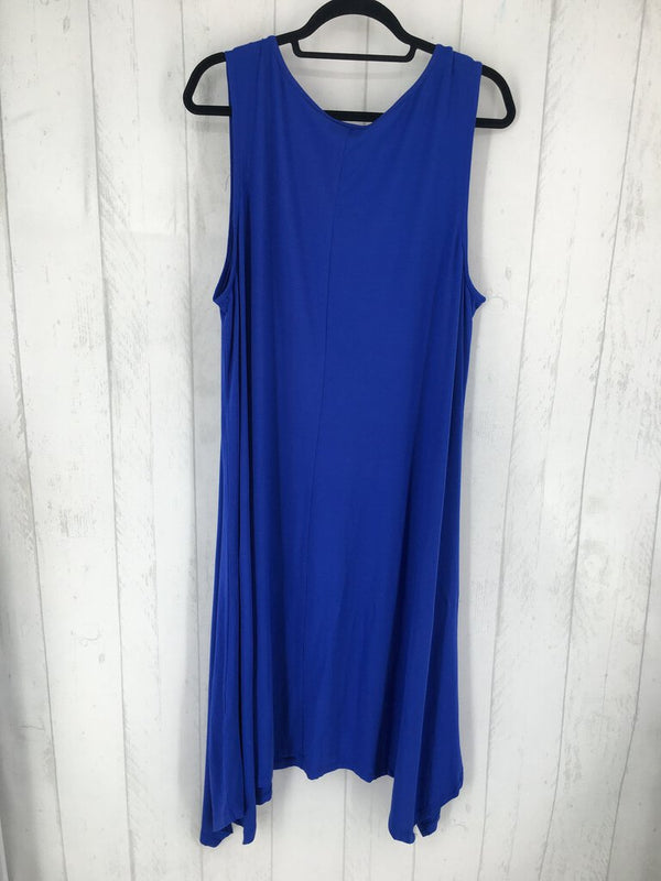 NWT 2x slvls dress