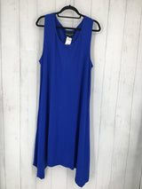 NWT 2x slvls dress