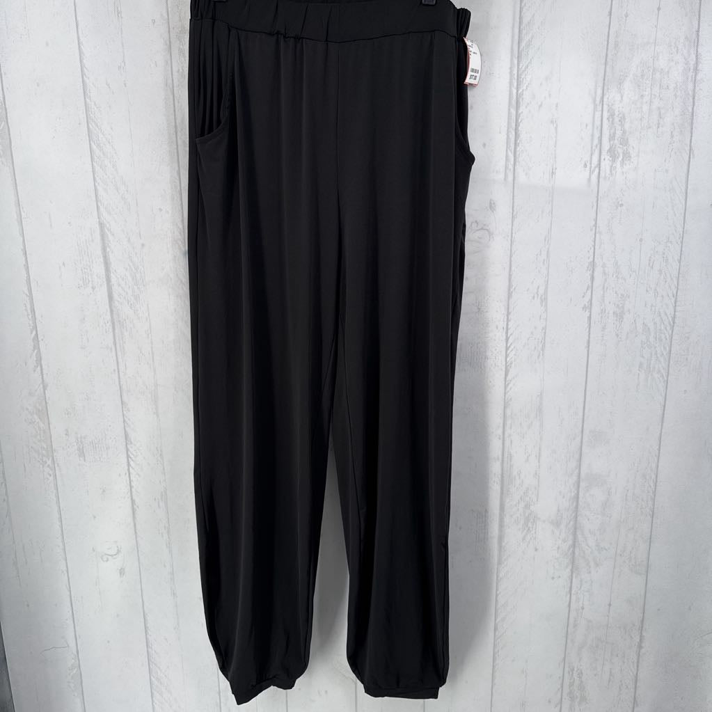 NWT L pull on pants