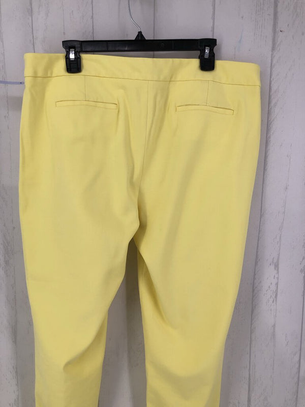 16 Signature straight leg pant