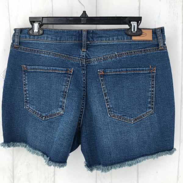 R24 8 Retro boy short