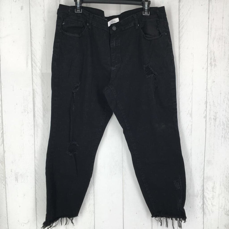 3xl distressed jeans