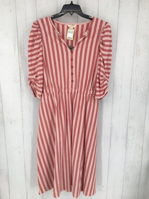 M elbow slv stripe dress