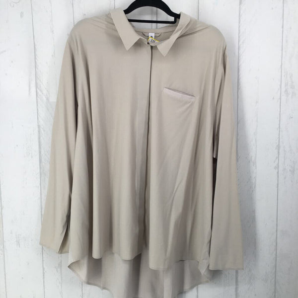 R119 3x l/s hidden button shirt