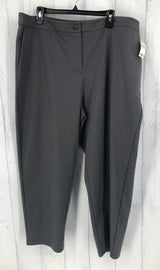 R168 1x slouchy ankle pants