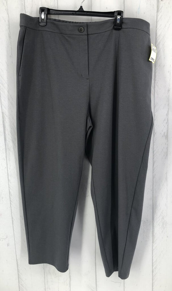 R168 1x slouchy ankle pants