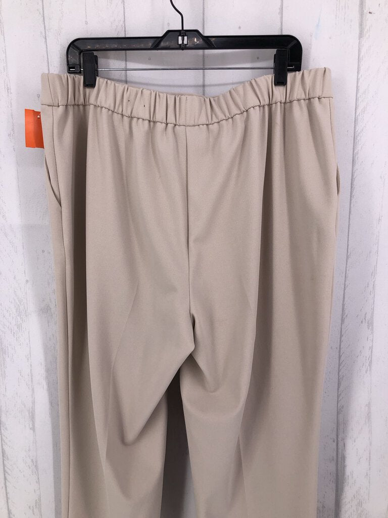 XL Pull on pant