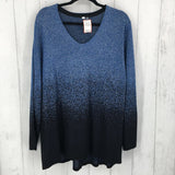 3X Shimmery scoop neck l/s top