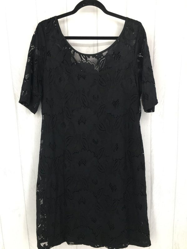 14 Lace elbow slv shiftdress