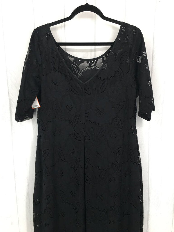 14 Lace elbow slv shiftdress