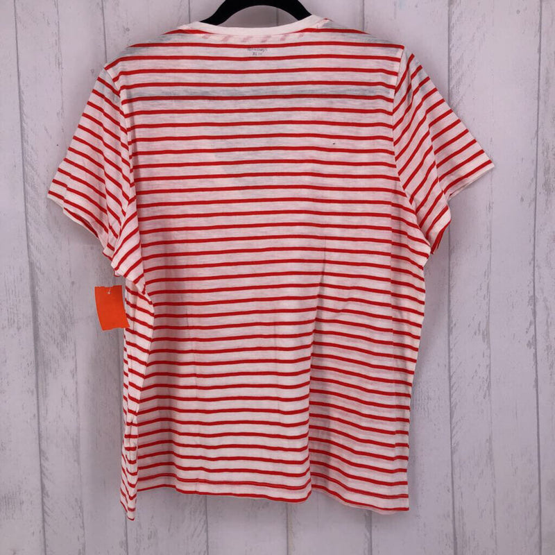 2X Striped v-neck s/s tee