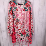 2XL Printed ruffled slv dress