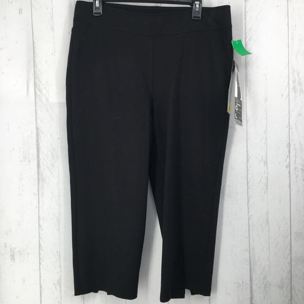 R49 L Capri pants